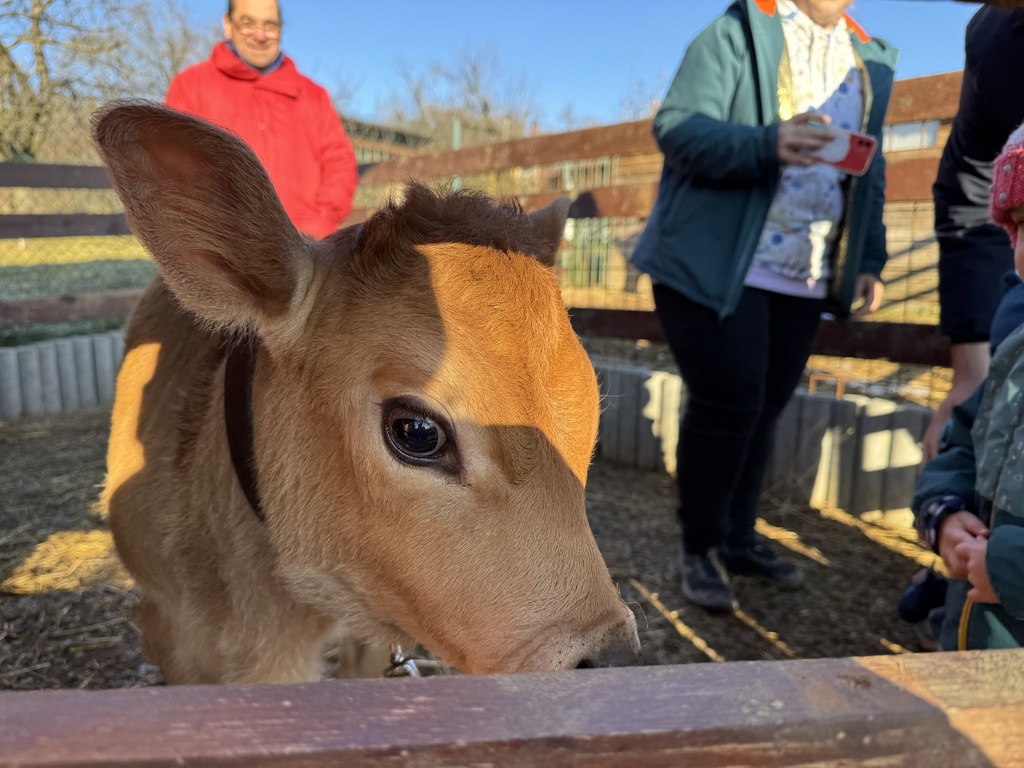 [CLEN_2026] Roční členství v Zookoutku 2026
