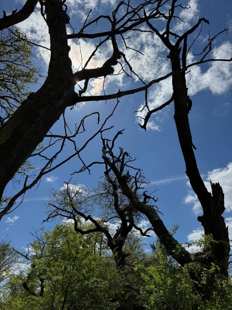 ⛰️ Trasa: Babí lom - Baba